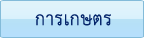 ����ɵ�